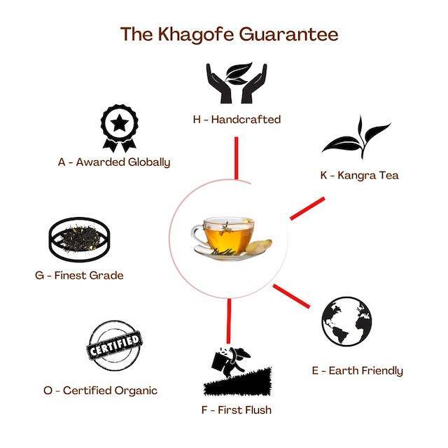 TriniTEA Ginger Tulsi Mulethi Green Tea - Image 4