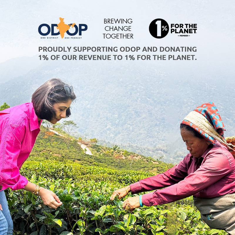 Chamomile Tea | Amber Glow - Image 6