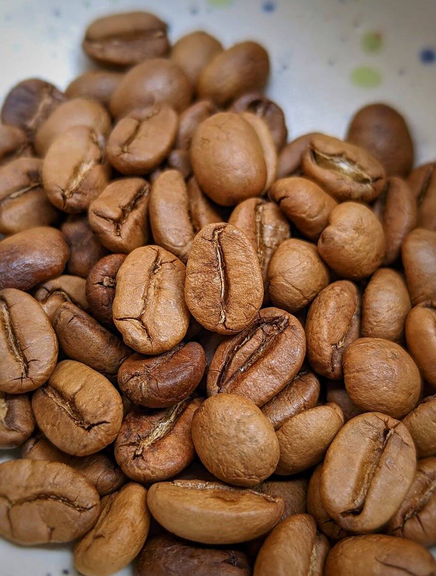 Winter Berries - Flagship - Image 2