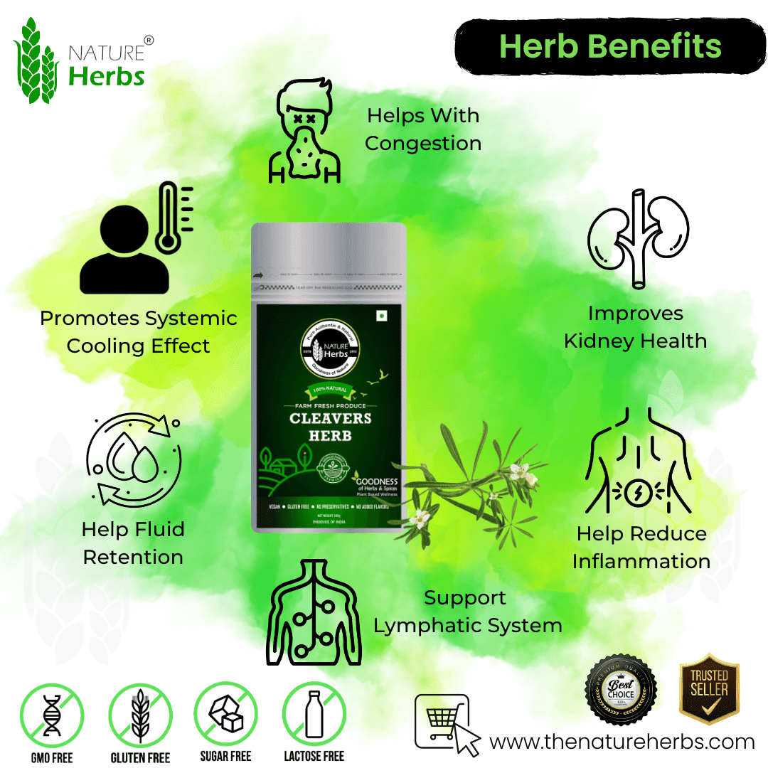 Cleavers Herb Tea - Image 3