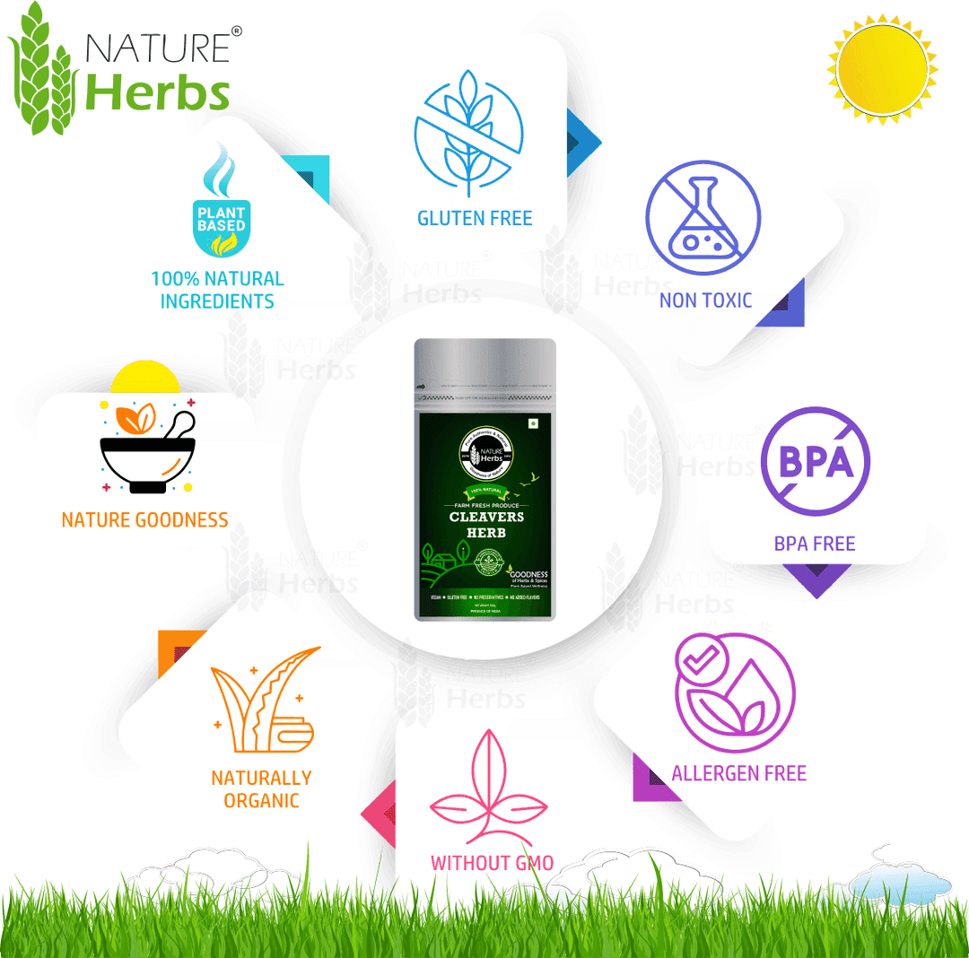 Cleavers Herb Tea - Image 4