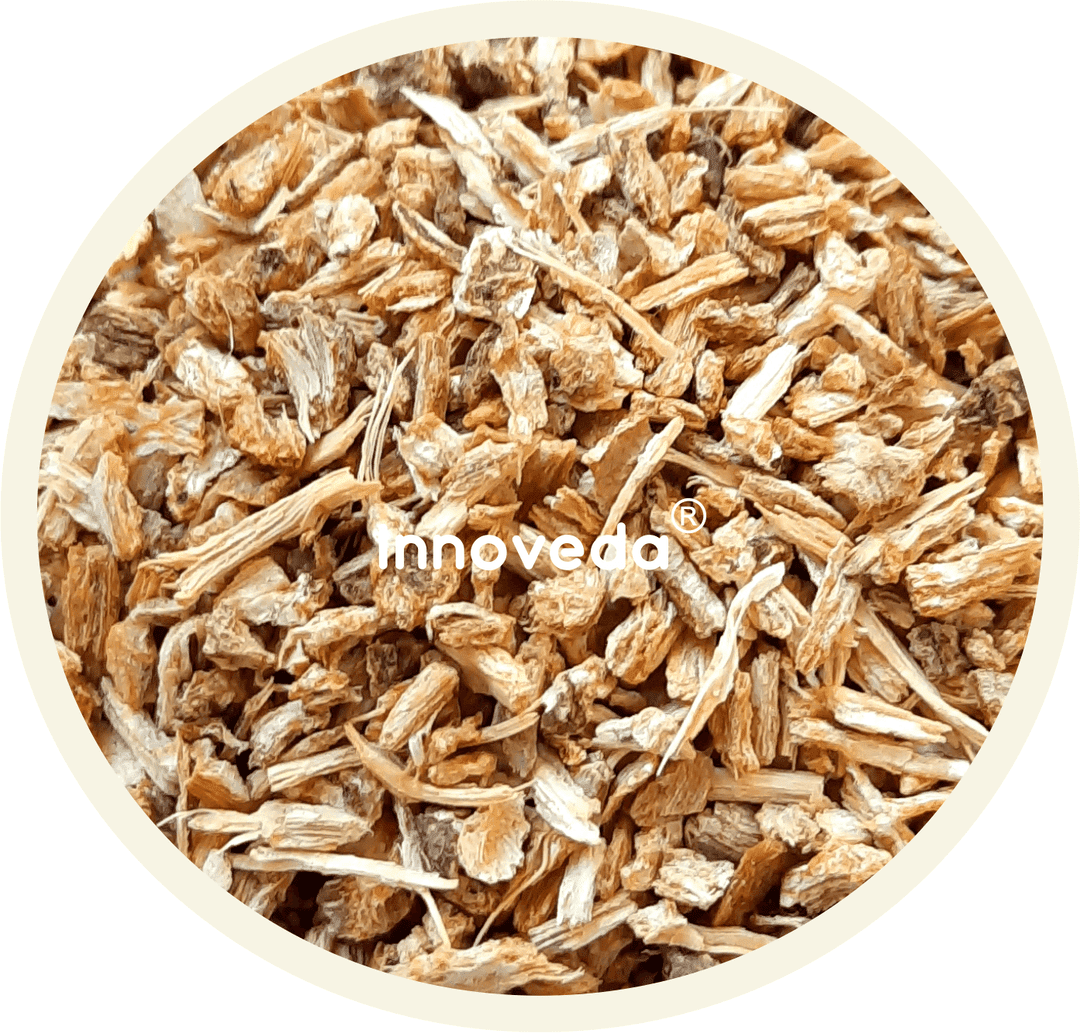 Dong Quai Root Tea for Women Health - Image 4