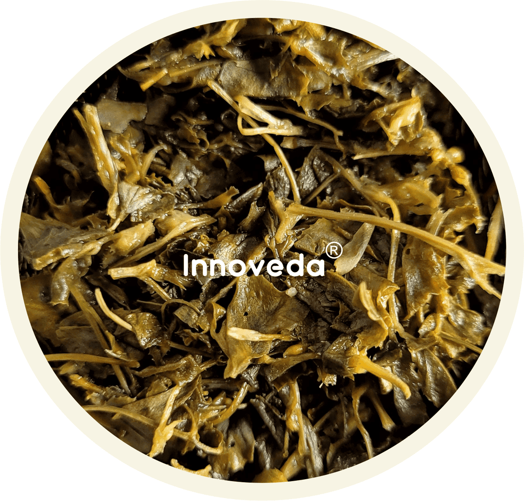 Fenugreek Leaf Tea For Nursing Mom - Image 5