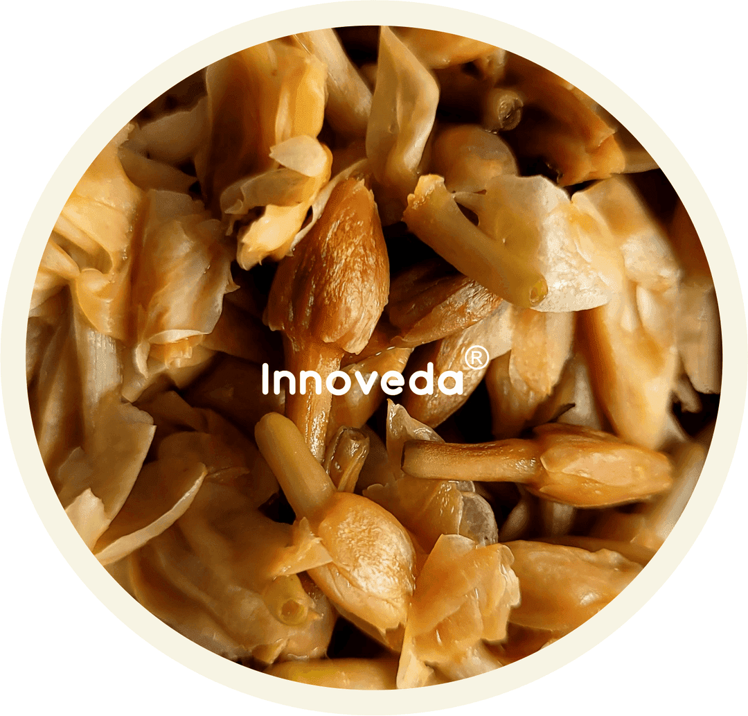 Jasmine Buds Tea To Relax & Rejuvenate - Image 6