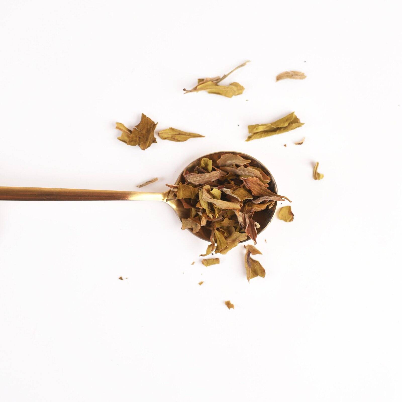 Makaibari Bai Mu Dan White Peony Tea - Image 15