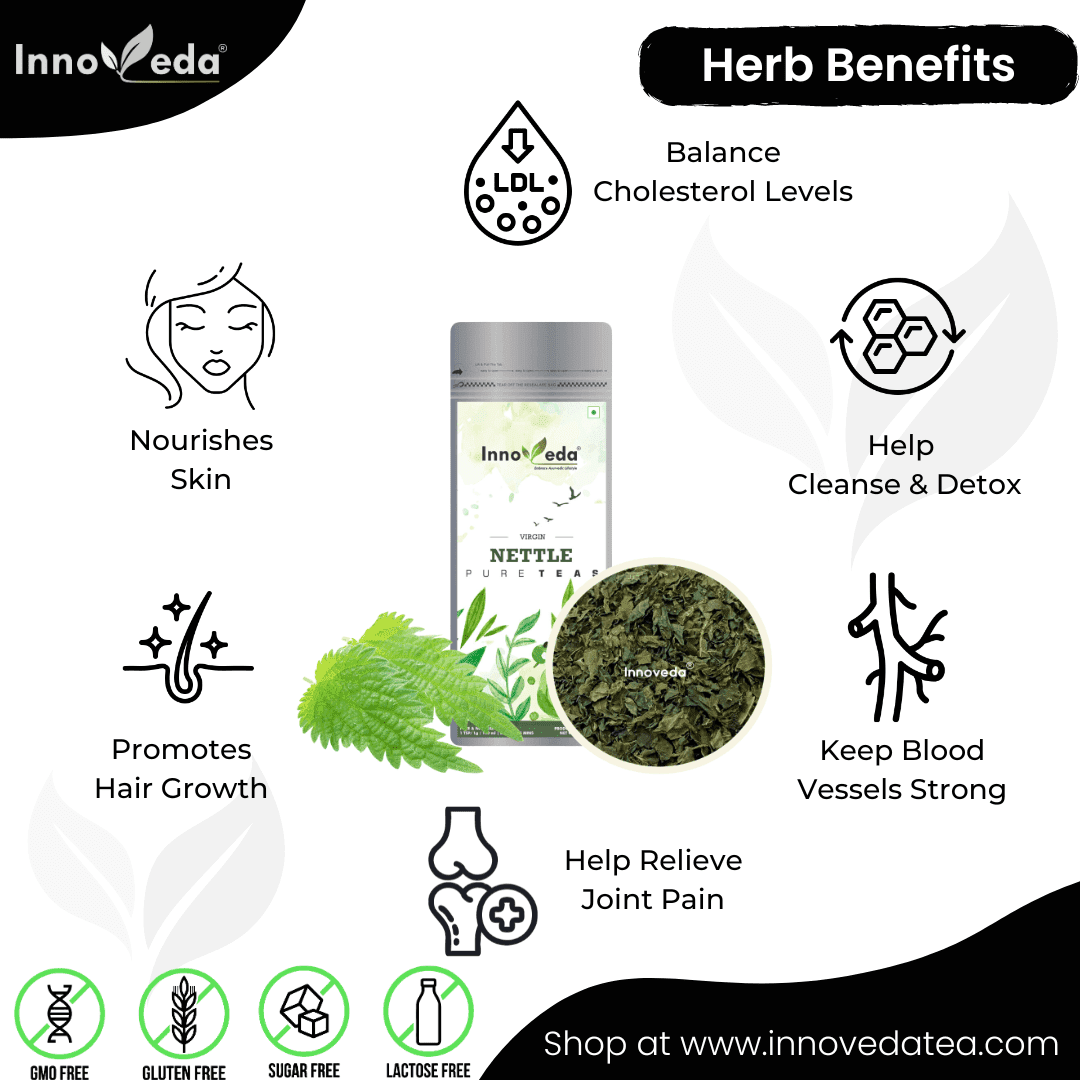 Nettle Leaf Tea For Hair Health - Image 4