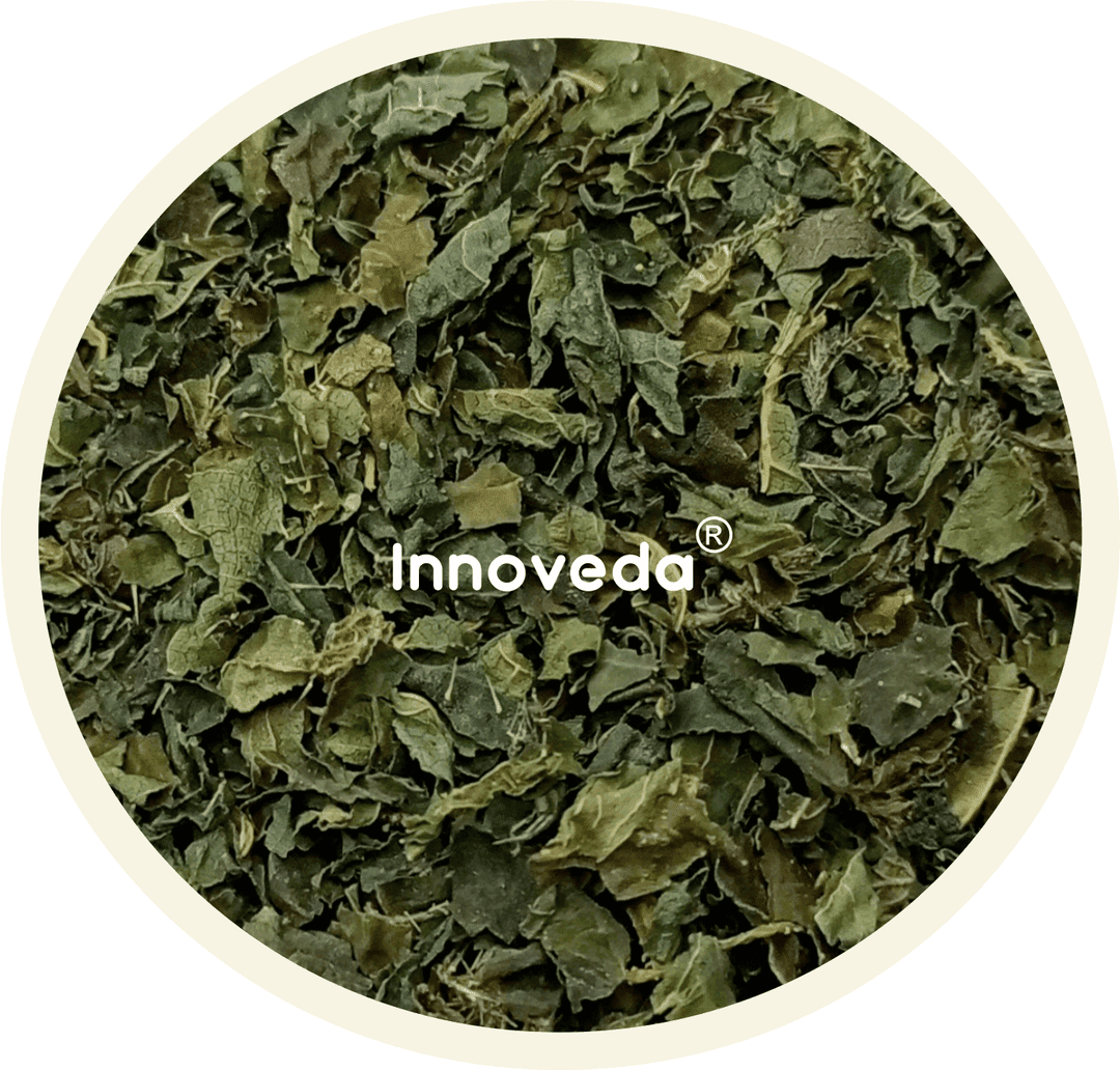 Nettle Leaf Tea For Hair Health - Image 6