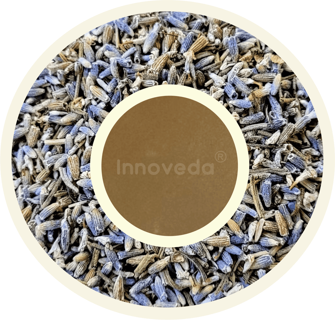 Pure Lavender Buds Tea To Enhance Sleep Quality - Image 4